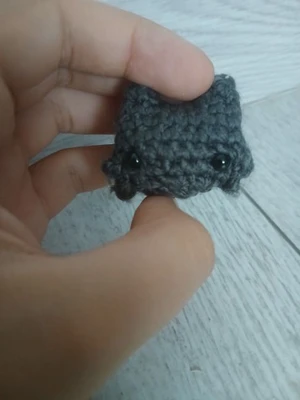 Fluffy cat head