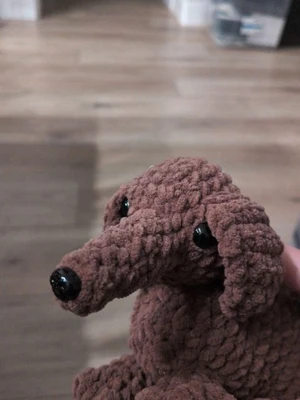 Willa the wiener dog (penny)