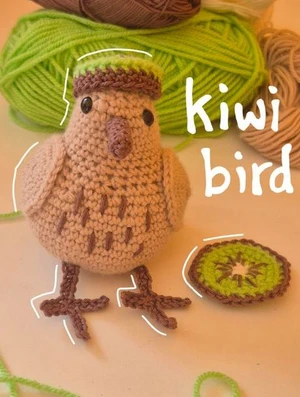 Kiwi Bird