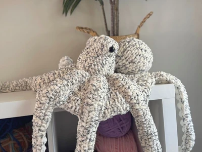 The Kraken