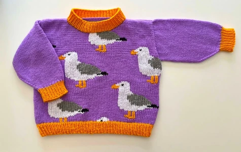 Seagull Sweater