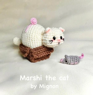 Marshi the cat