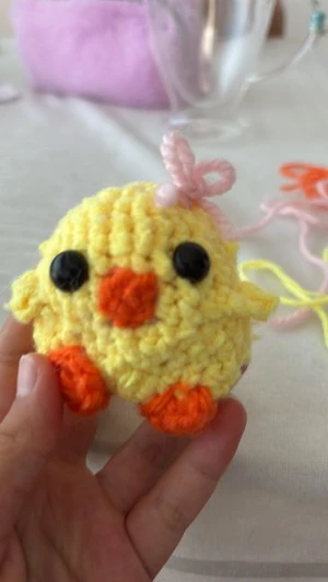 Pollito check