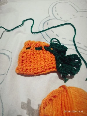 Sharmaine(orange) pouch