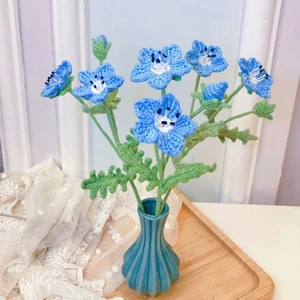 Baby Blue Eyes Flower