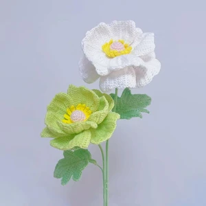 Butterfly Ranunculus Flower