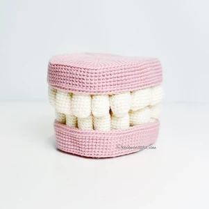 Dental Typodont Teeth