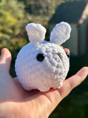 Bonnie The Bunny