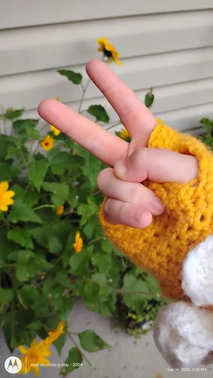 click to see ruffle fingerless glove 60 followers special!