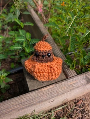 Bear In A Pumpkin Crochet Pattern!