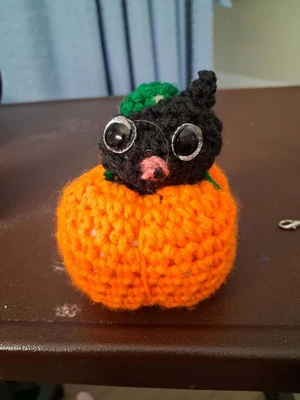 The Peekaboo Pumpkin Cat