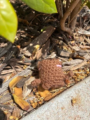 Pocket Toad