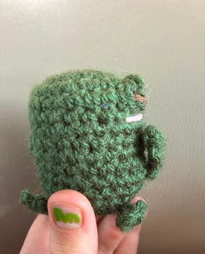 Froggy the Friendly Pocket Frog!