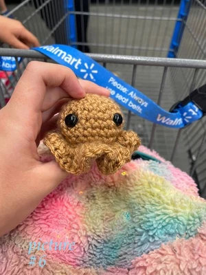Little octopus