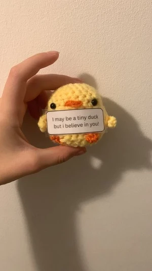 Emotional support chick