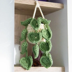 Hanging Plant Pattern