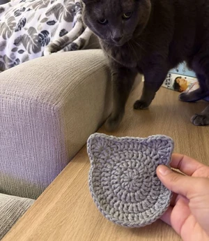 No sew cat coaster