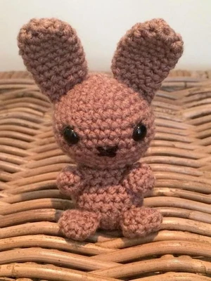 Mr Buns the bunny