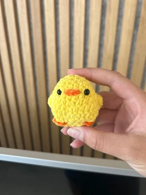 Squeaky duck