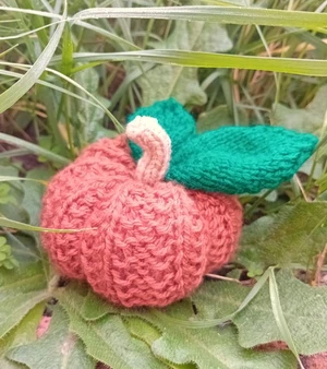 Pumpkin