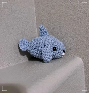 Shelly the Shark