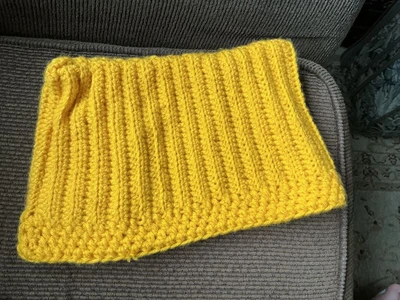 Cat Beanie
