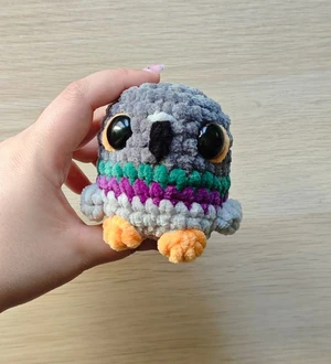 Pocket Pigeon
