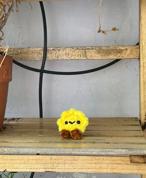 Sun buddy