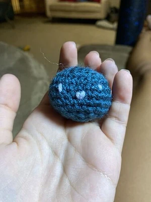 Pet Rock