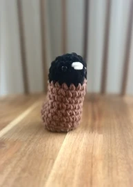 Black-headed Munia / Finch Chick