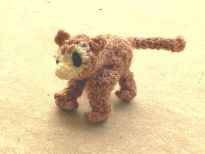 Baby monkey