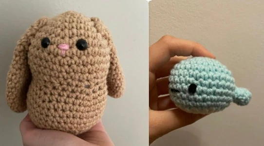 Bundle for beginners