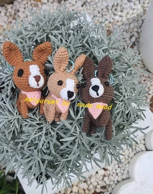 Chihuahua mini Dog