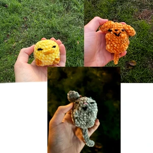 Pocket Pets (40 Follower Special!)