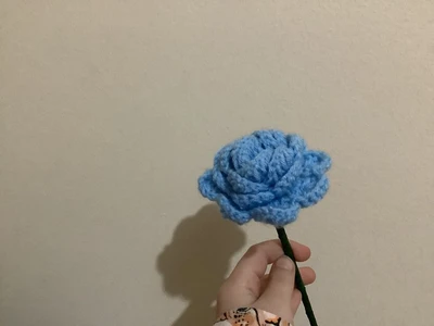 Damascus Rose