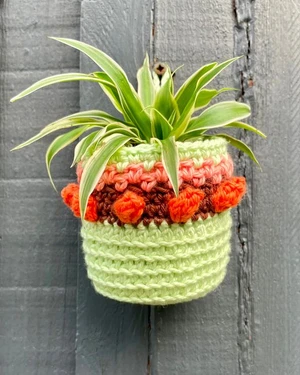 Popcorn Crochet Hanging Plant Basket | Crochet Mini hanging basket