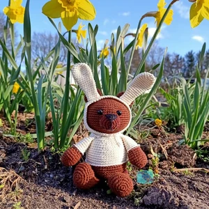 Teddy bear in bunny hood