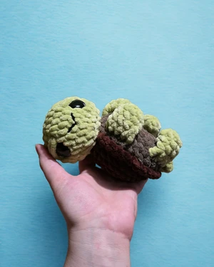 Roly the Rolling Turtle