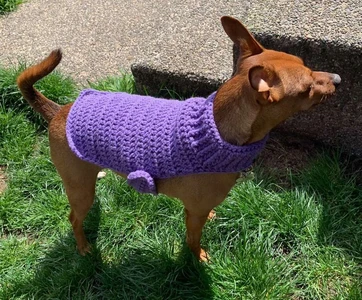 Cat/Small Dog Sweater