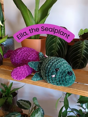 Ella, the Sealplant