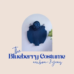 Blueberry Costume and Beanie