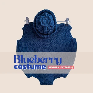 Blueberry Costume and Beanie