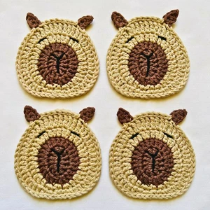 Capybara Coaster