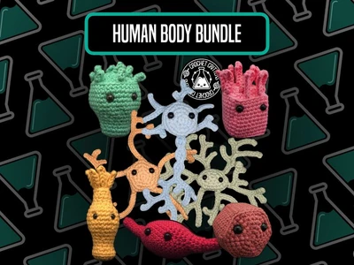 Human Body Bundle - 8 Patterns