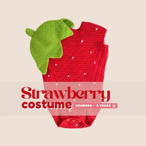 Strawberry Costume and Hat