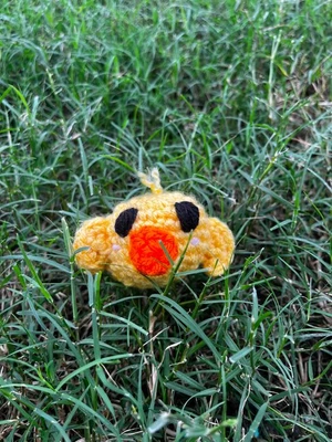 lil ducky