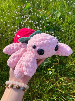 Strawberry spider