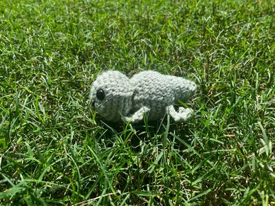Chameleon