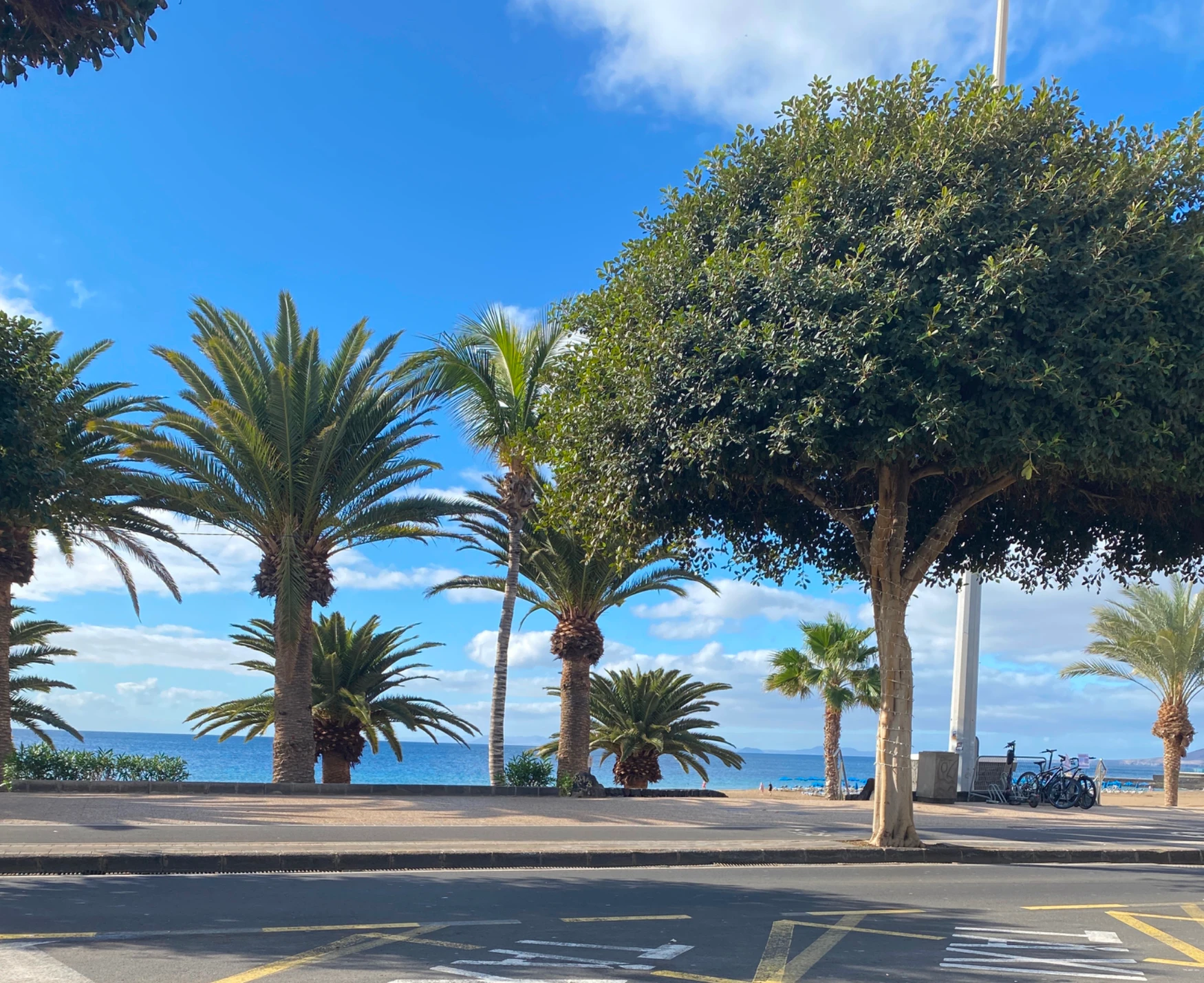 Ladelie shop banner