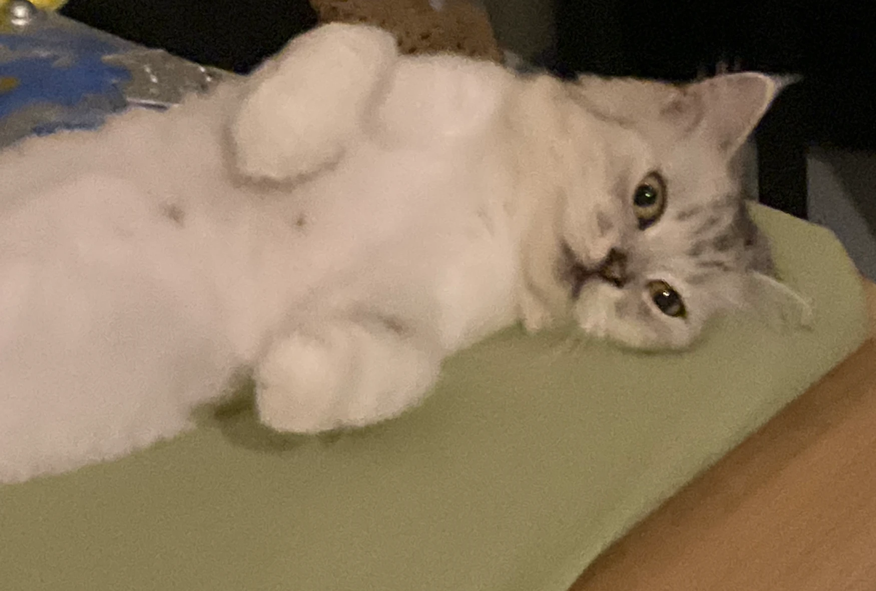 Elana and Zelda’s cute crochet shop banner